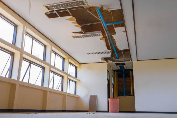 Best Sewage cleanup and water damage restoration  in West Swanzey, NH