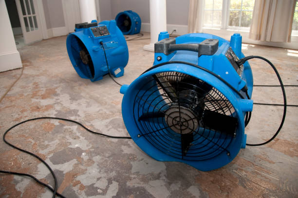 Best Water damage restoration near me  in West Swanzey, NH