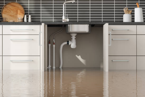 Best Water damage contractors near me  in West Swanzey, NH